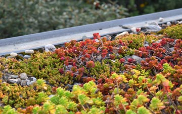 the cost of Hope Under Dinmore green roof installation