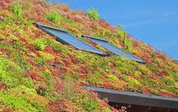 Hope Under Dinmore living roof systems